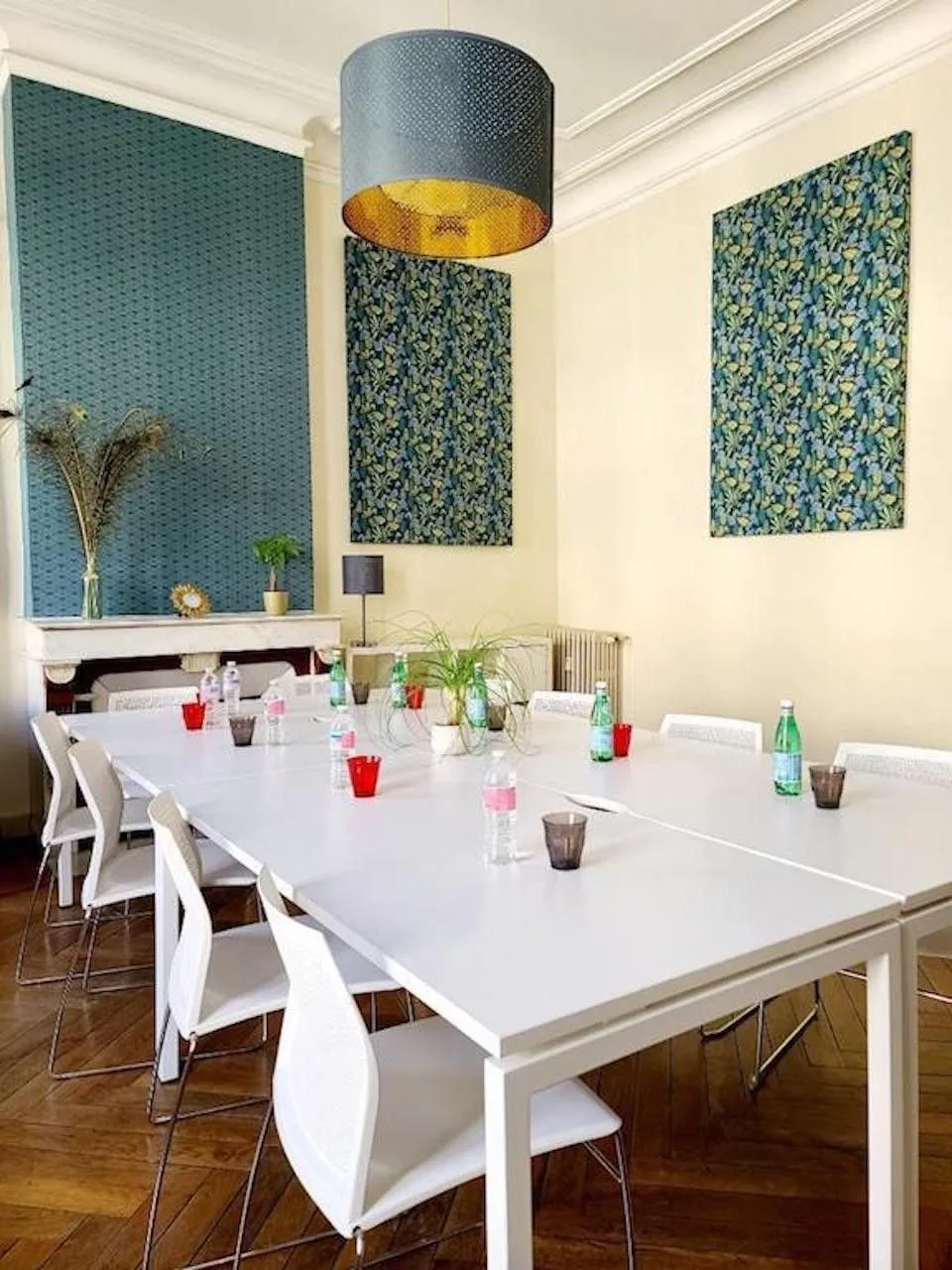 Le Paon, Salle de réunion 10 personnes, Montpellier