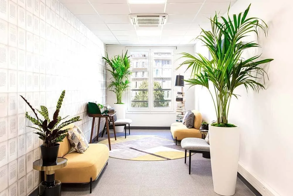 Pearl Partner Nice Etoile, Lounge, Nice