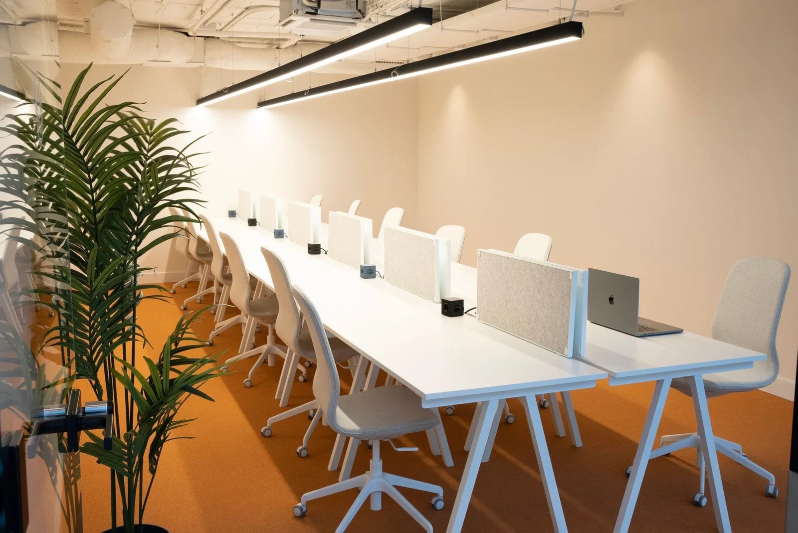 The Pool, Open-plan office, Marbella