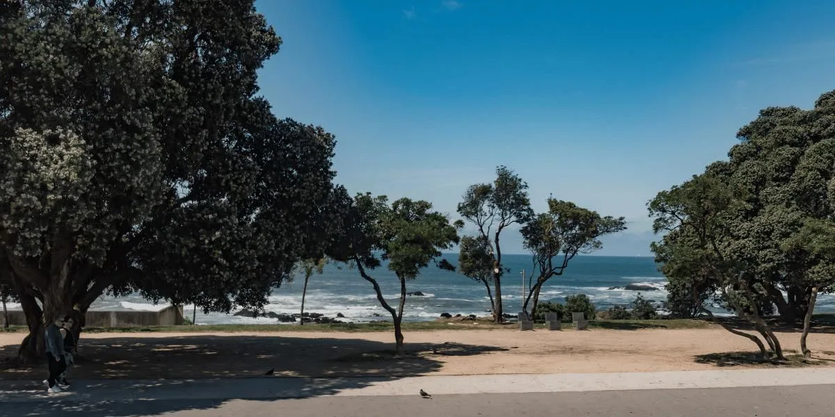 Porto i/o Seaside, Terraza y espacio exterior, Matosinhos