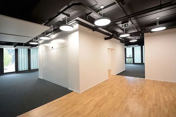 Puls 5, Open space, Zurich