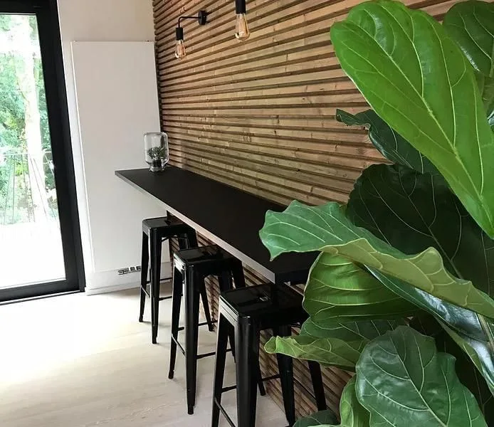 Puntco, Cafétéria, Anvers