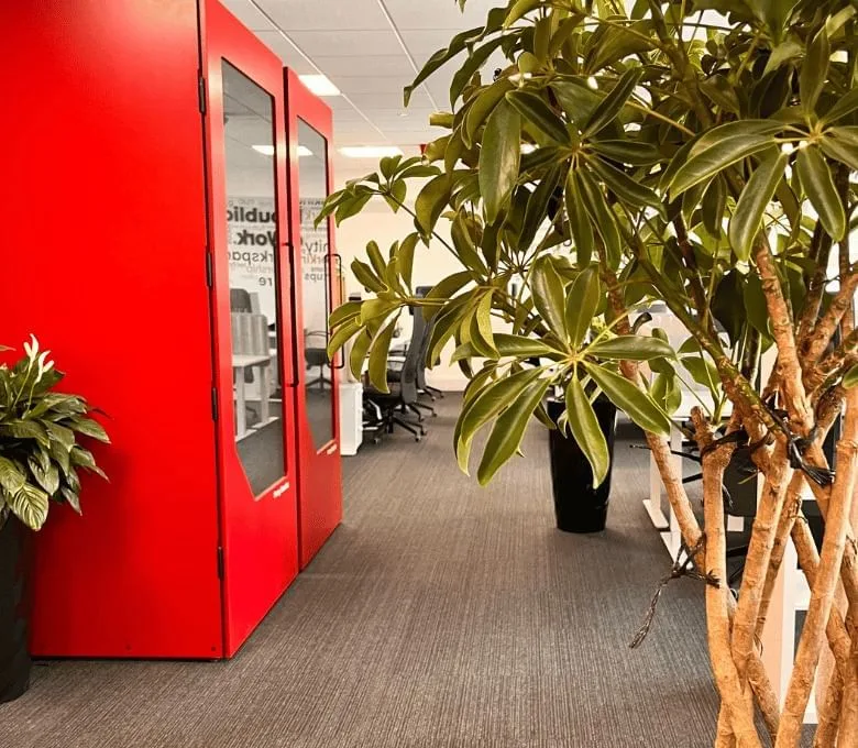 Republic of Work Cork, Cabine acoustique, Cork