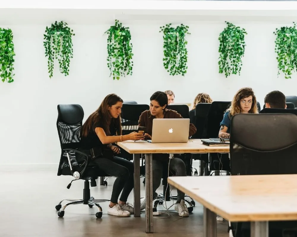 Resvés Cowork Space, Open-plan office, Lisbon