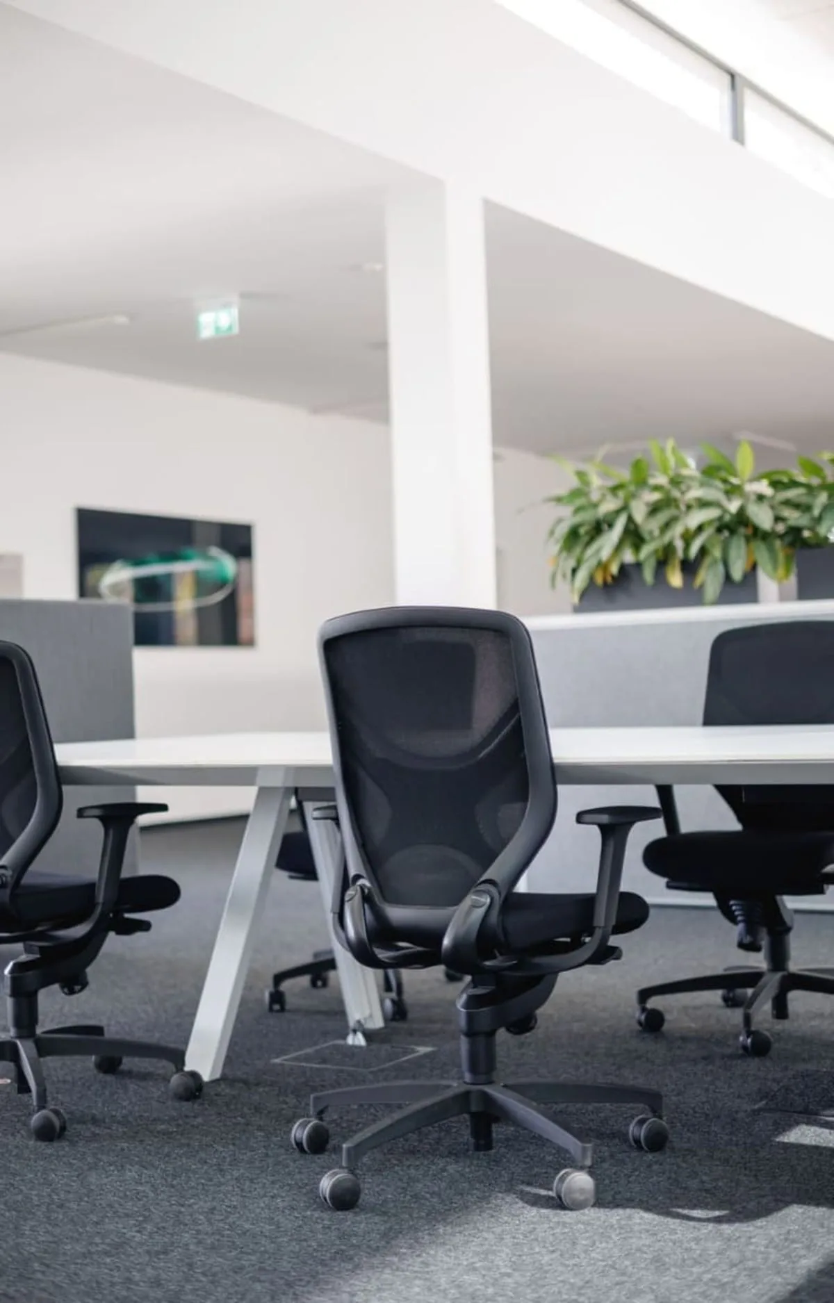 Ritz Coworking Space, Open-plan office, Friedrichshafen