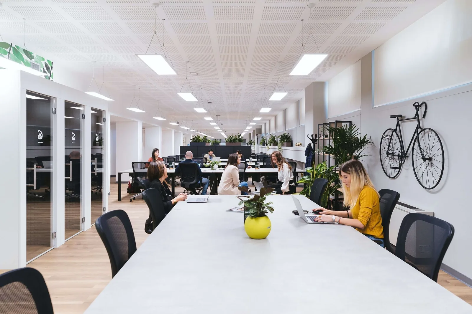 Rosalía Coworking, Espaço aberto, Vigo