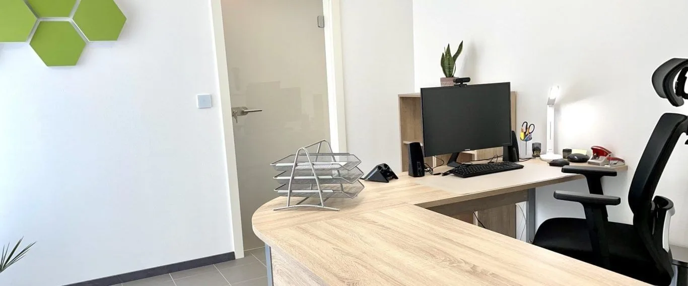 Roth-Office, Private office, 1 desk, Schramberg