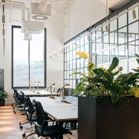 Ruby Leo Workspaces Munich, Open-plan office, Munich