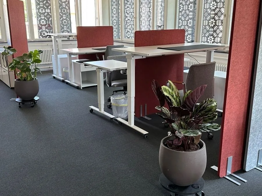 Rudow WORKSPACE, Großraumbüro, Affoltern am Albis