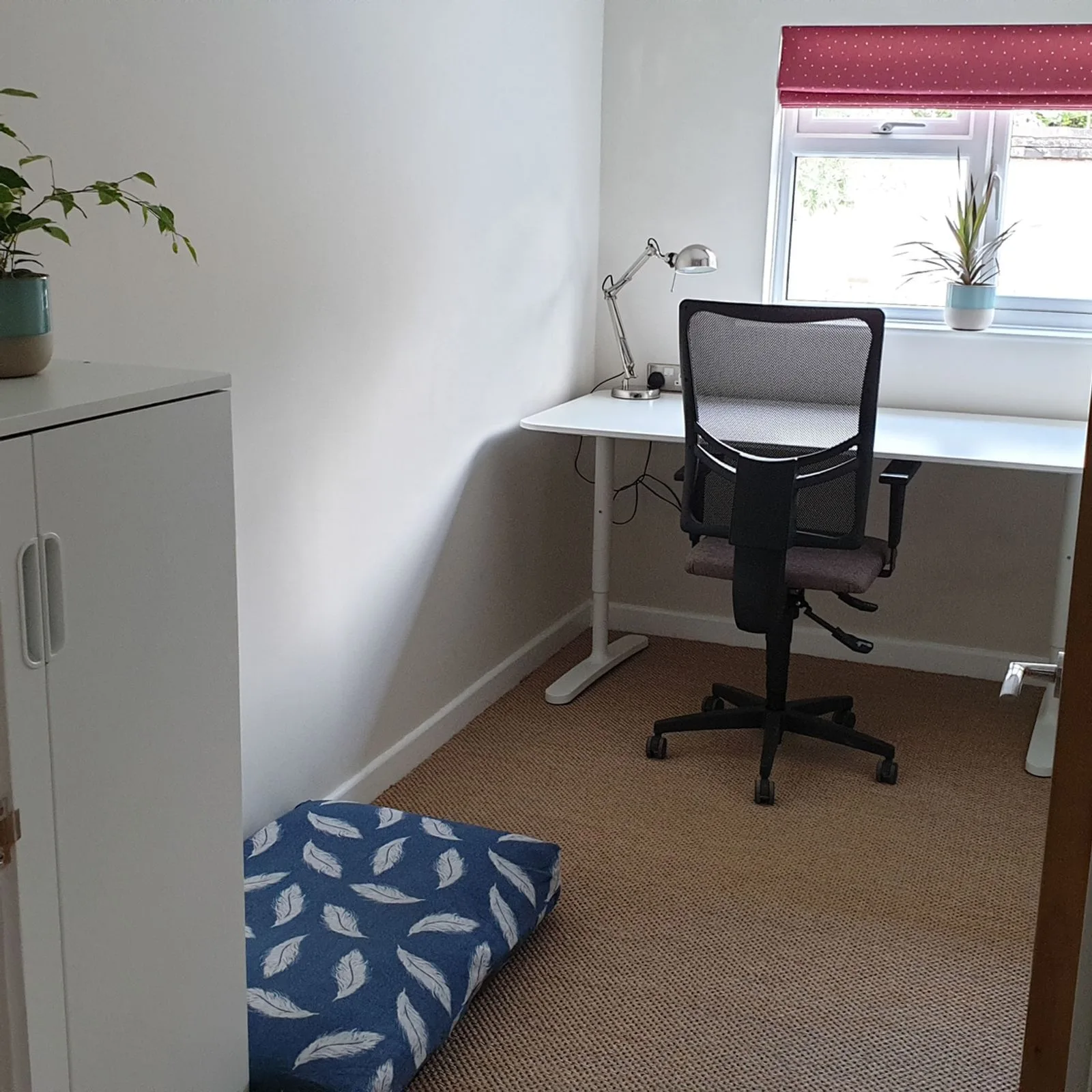 Rural Business Hub Andover, Private office, 1 desk, Andover