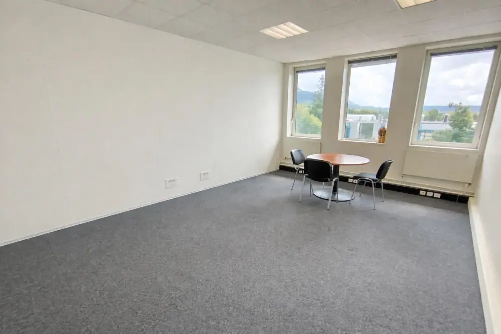 Salève immobilier, Bureau privatif 24m2, Archamps