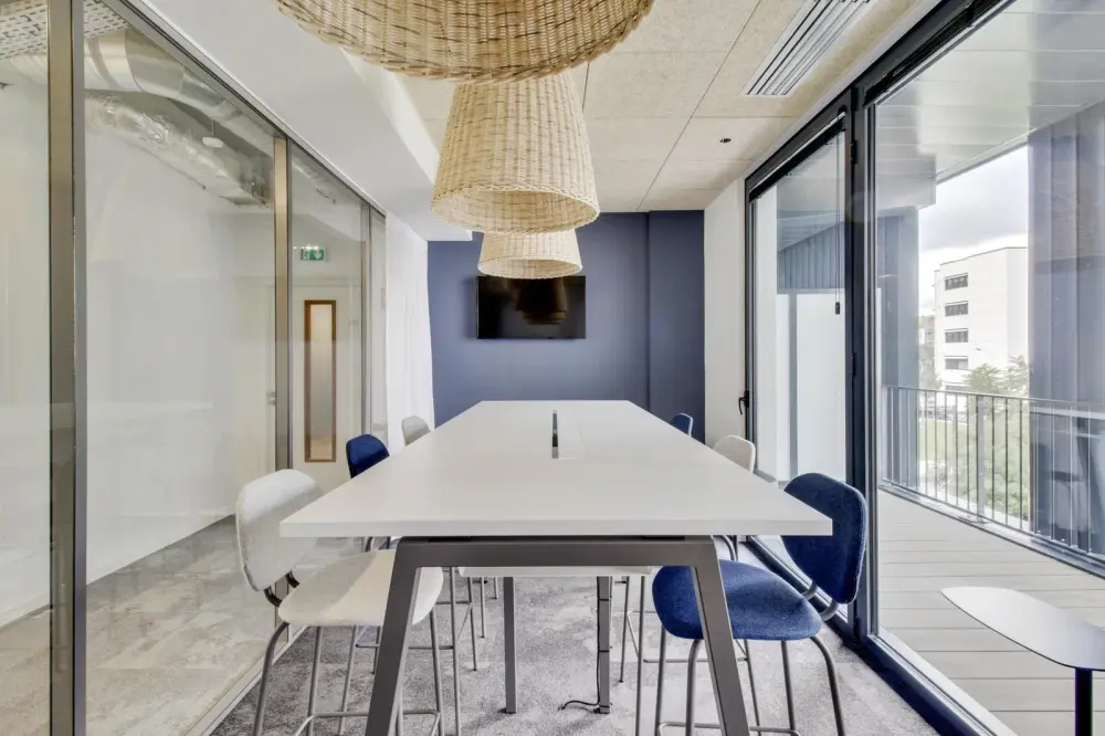 Newton Offices Vaise, Salle Baryum, Lyon 9e