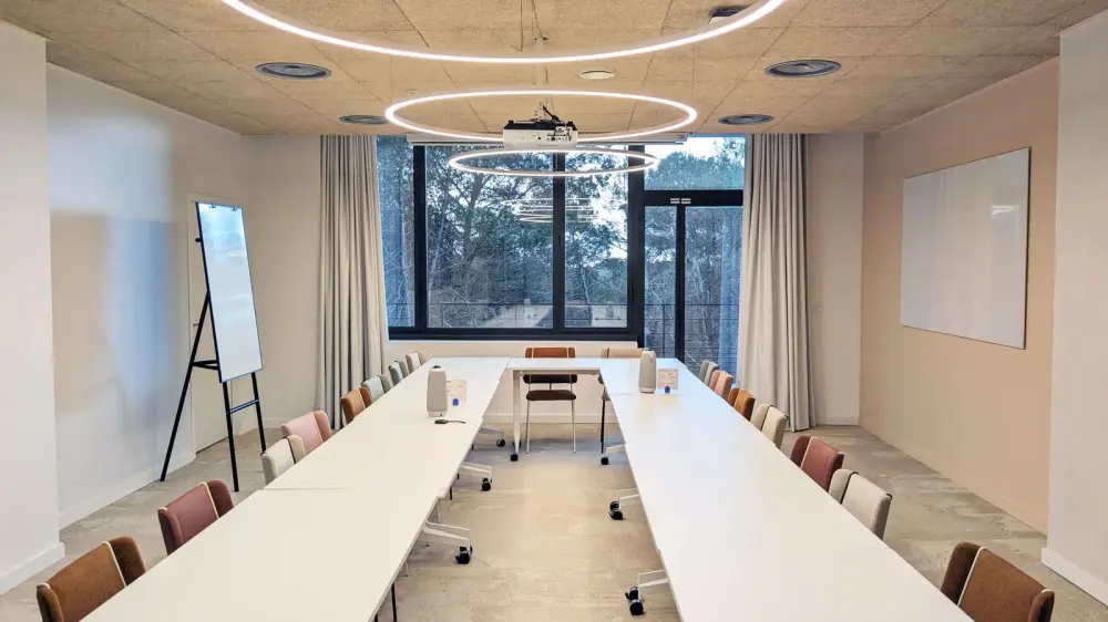 Newton Offices Sophia Antipolis, Salle de réunion Argent, Valbonne