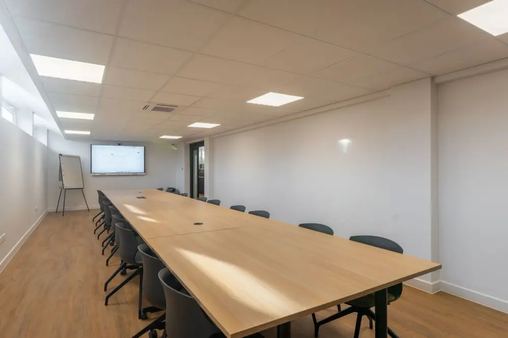 Buro Club Strasbourg - Mundolsheim, Salle de réunion BORNEO 14PAX, Mundolsheim