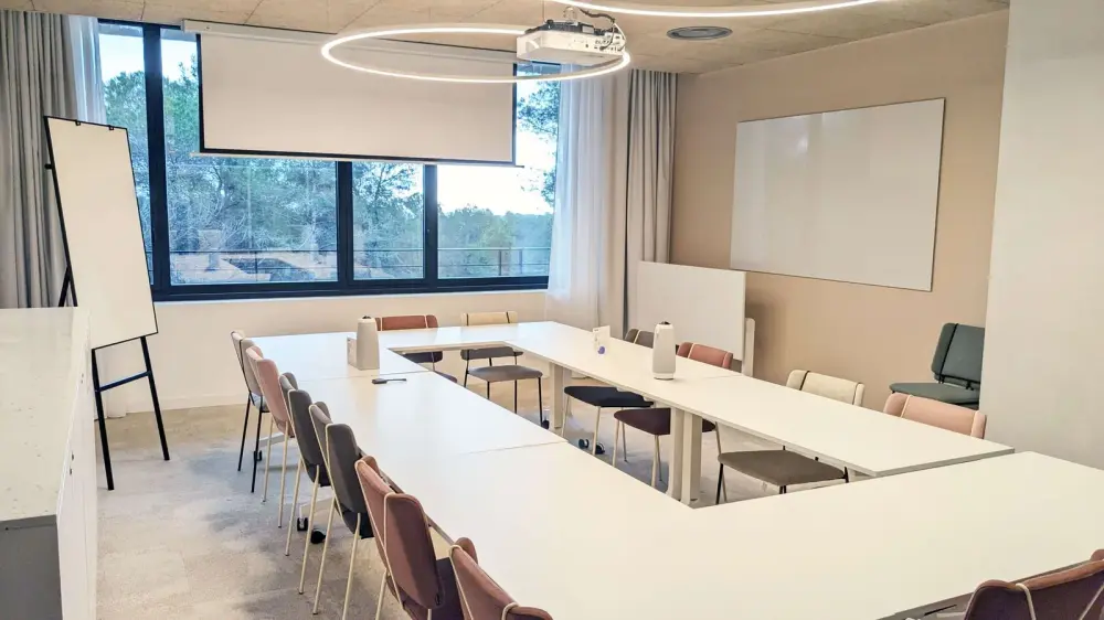 Newton Offices Sophia Antipolis, Salle de réunion Bronze, Valbonne