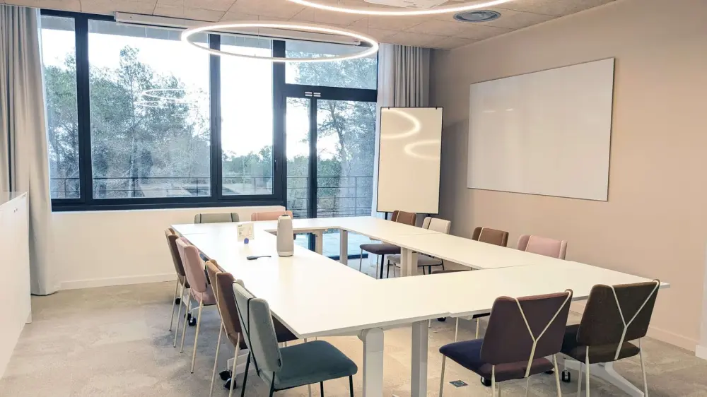 Newton Offices Sophia Antipolis, Salle de réunion Etain, Valbonne