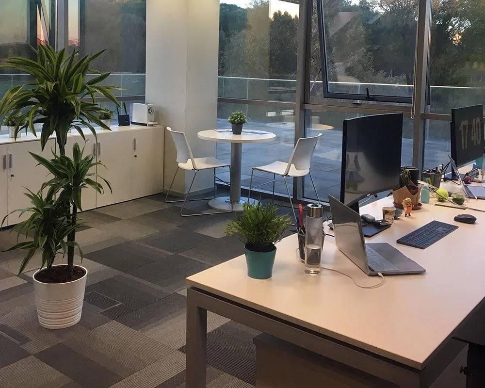 Sant Cugat Business Park, Espacio diáfano, Sant Cugat del Vallès
