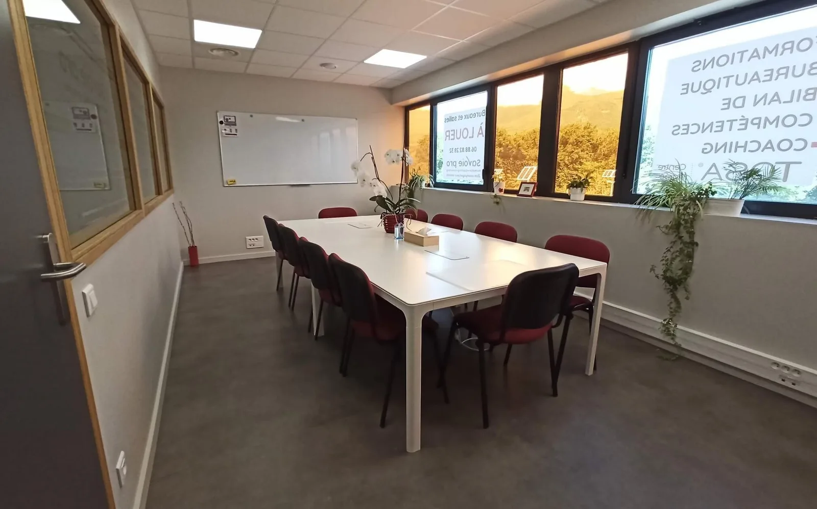 Savoie pro, Meeting room for 10 people, Gilly-sur-Isère