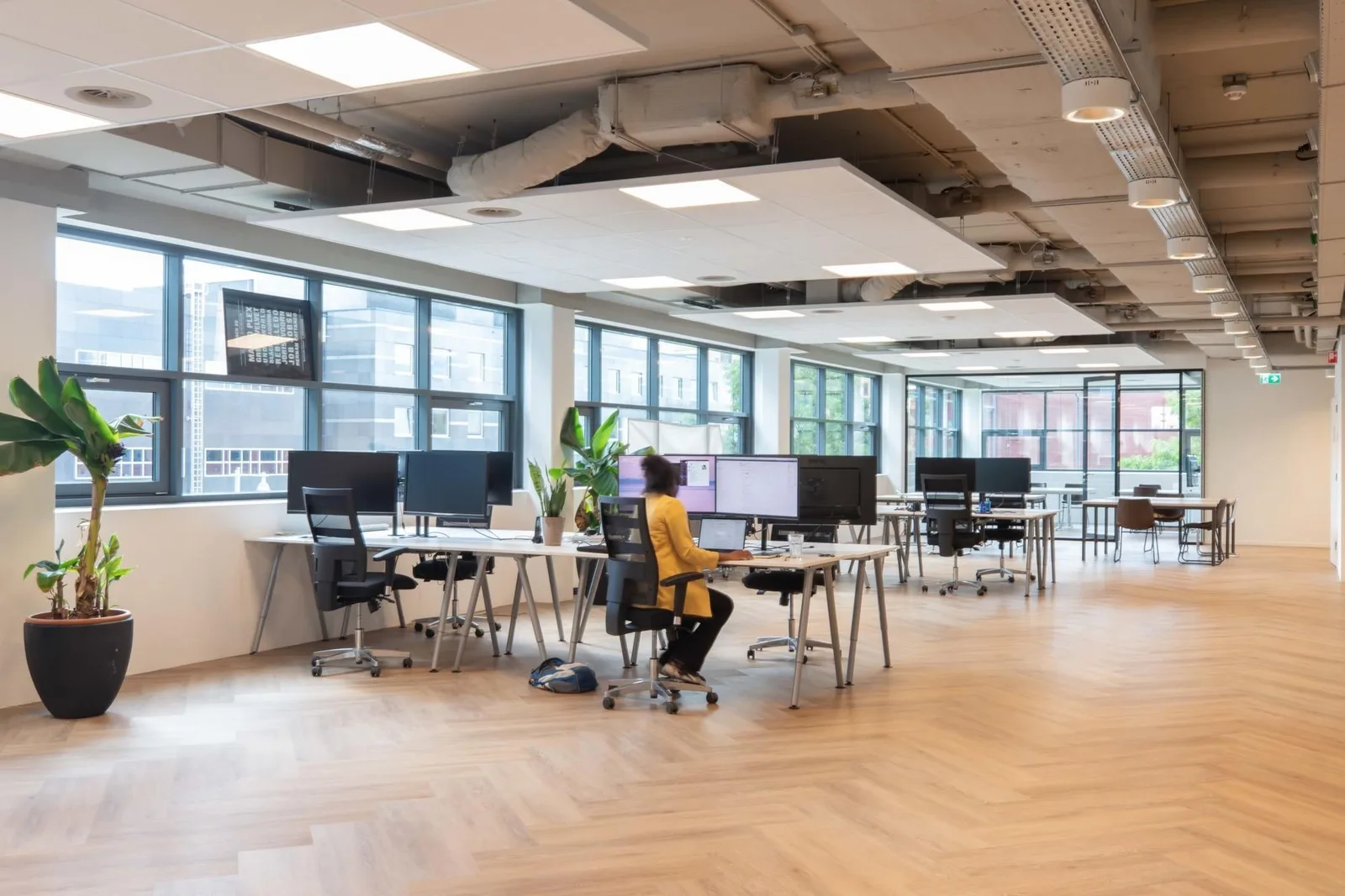 ScaleHub Sloterdijk, Open-plan office, Amsterdam