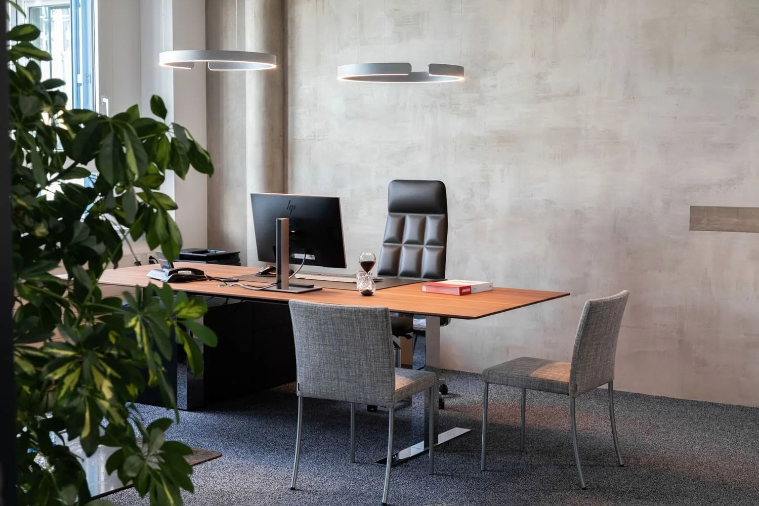 SCOPE, Private office, 1 desk, Schaffhausen