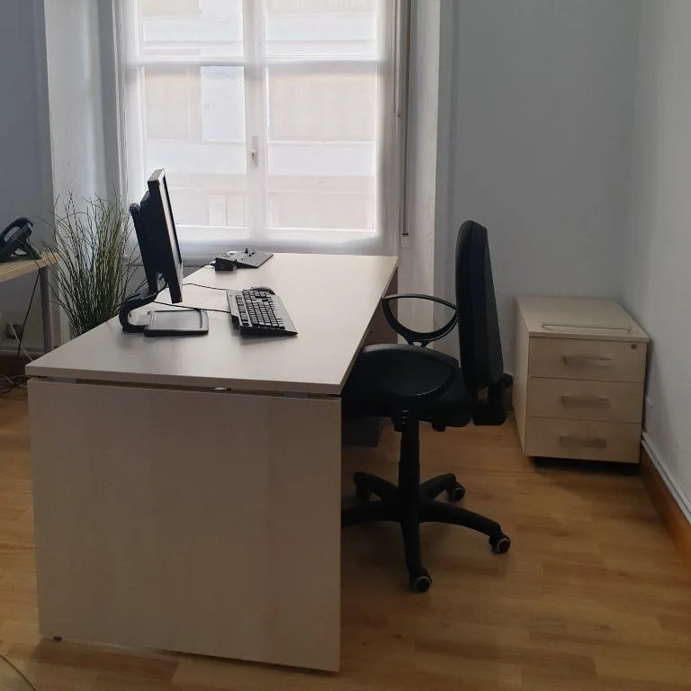 Seint, Private office, 1 desk, Bilbao