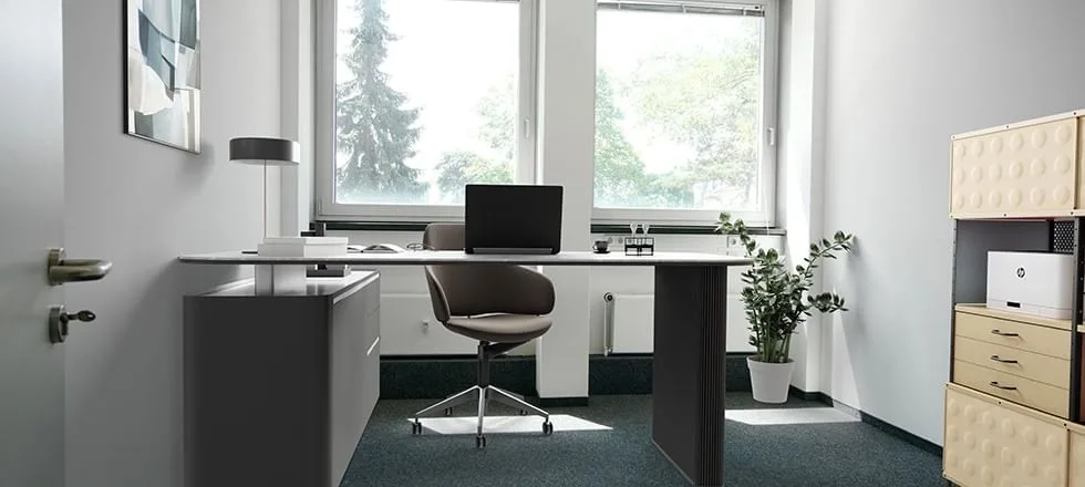 Sirius Business Park Pfungstadt, Private office, 1 desk, Pfungstadt