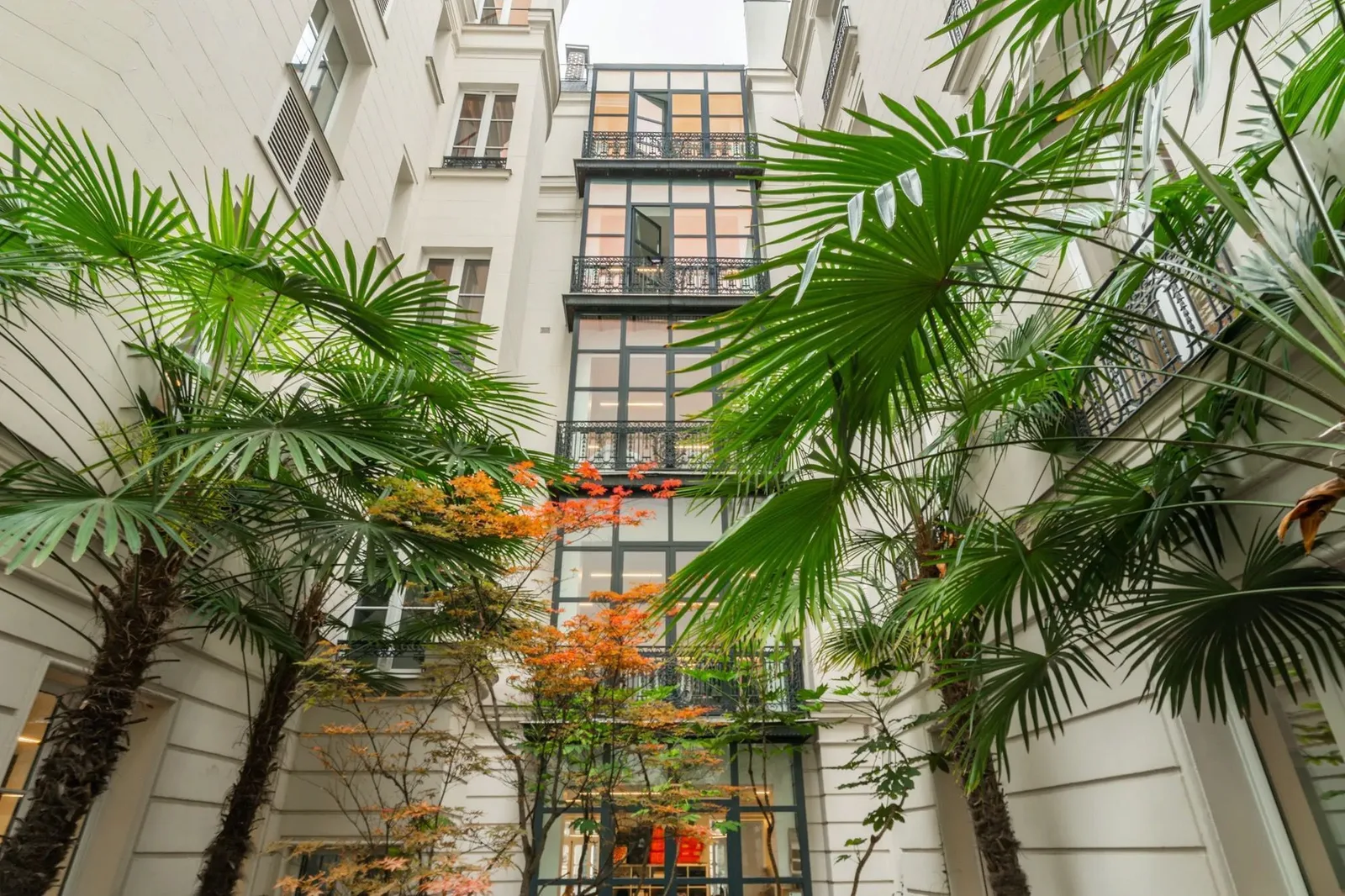 Sora Boétie, Terrasse et espace extérieur, Paris 8e