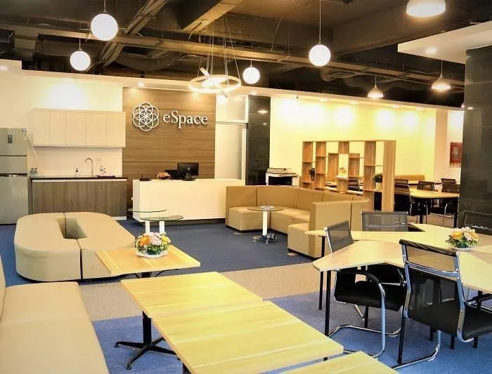E-Space Work, Reception, Hanoi