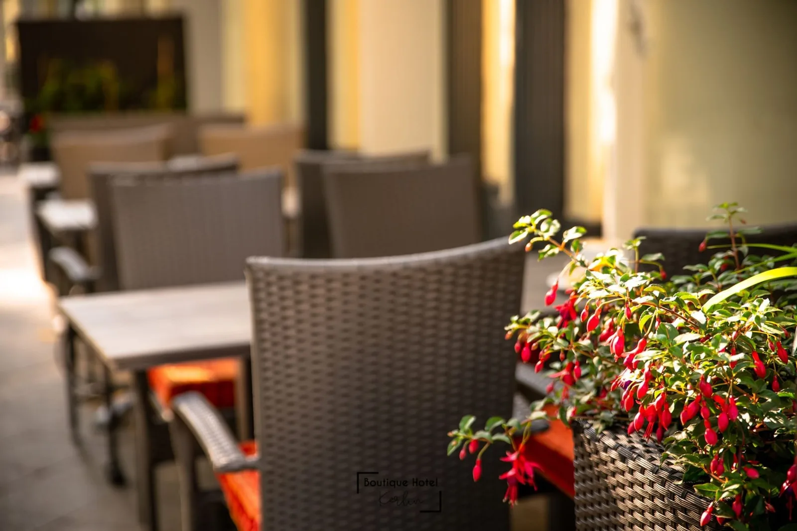 Space37 - Coworking Space Beim Kudamm, Terrace and outdoor space, Berlin