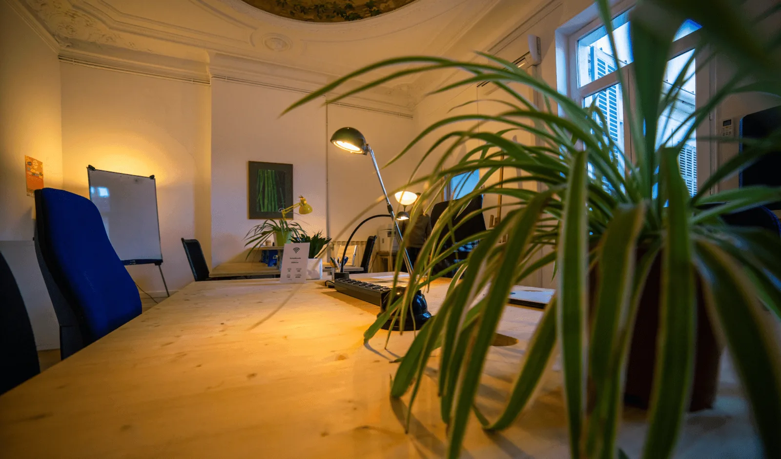Start Up Marseille, Privatbüro mit 4 Arbeitsplätzen, Marseille 6e