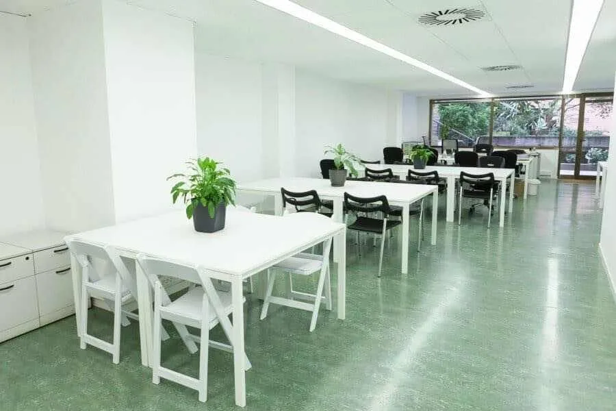 Start2Bee Travessera, Open-plan office, Barcelona
