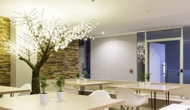 Starter Business Center, Kantine, Biot
