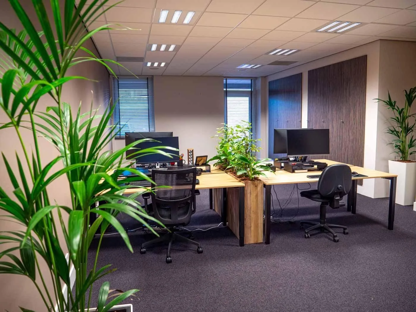 In de Straot, Privékantoor met 4 werkplekken, Meijel