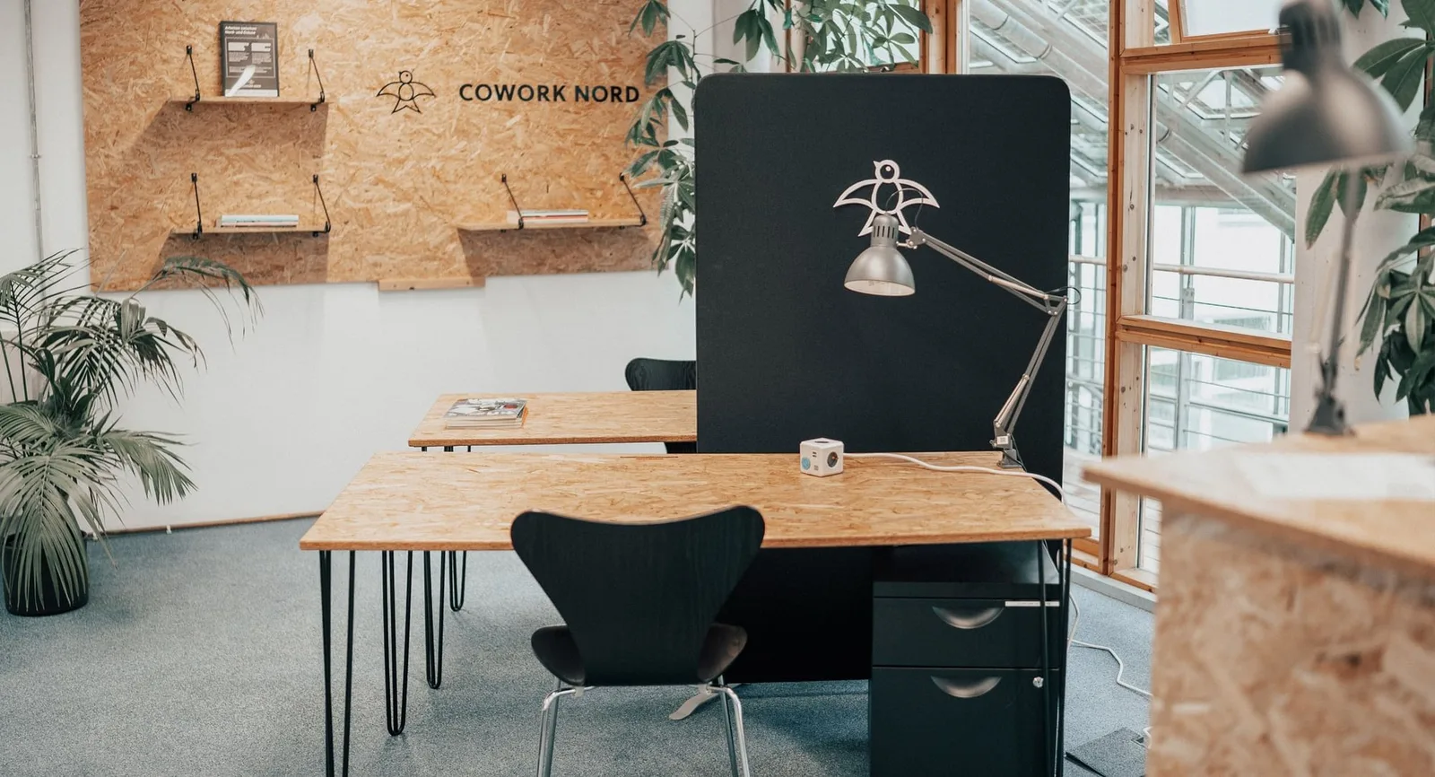 Technik- und Ökologiezentrum Eckernförde, Coworking space, Eckernförde