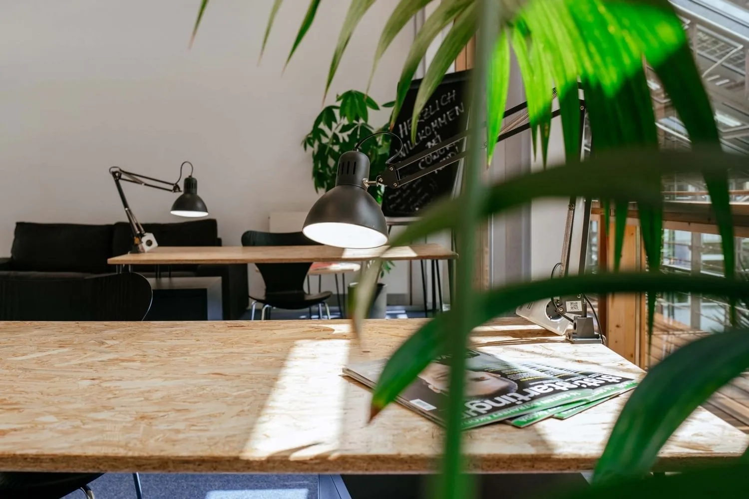 Technik- und Ökologiezentrum Eckernförde, Coworking space, Eckernförde