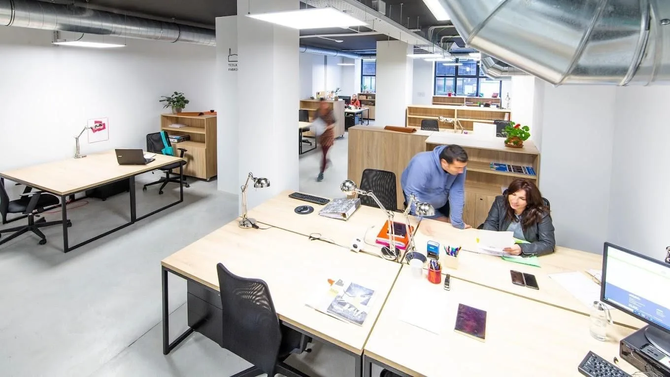 Teila Fabrika, Open-plan office, San Sebastian