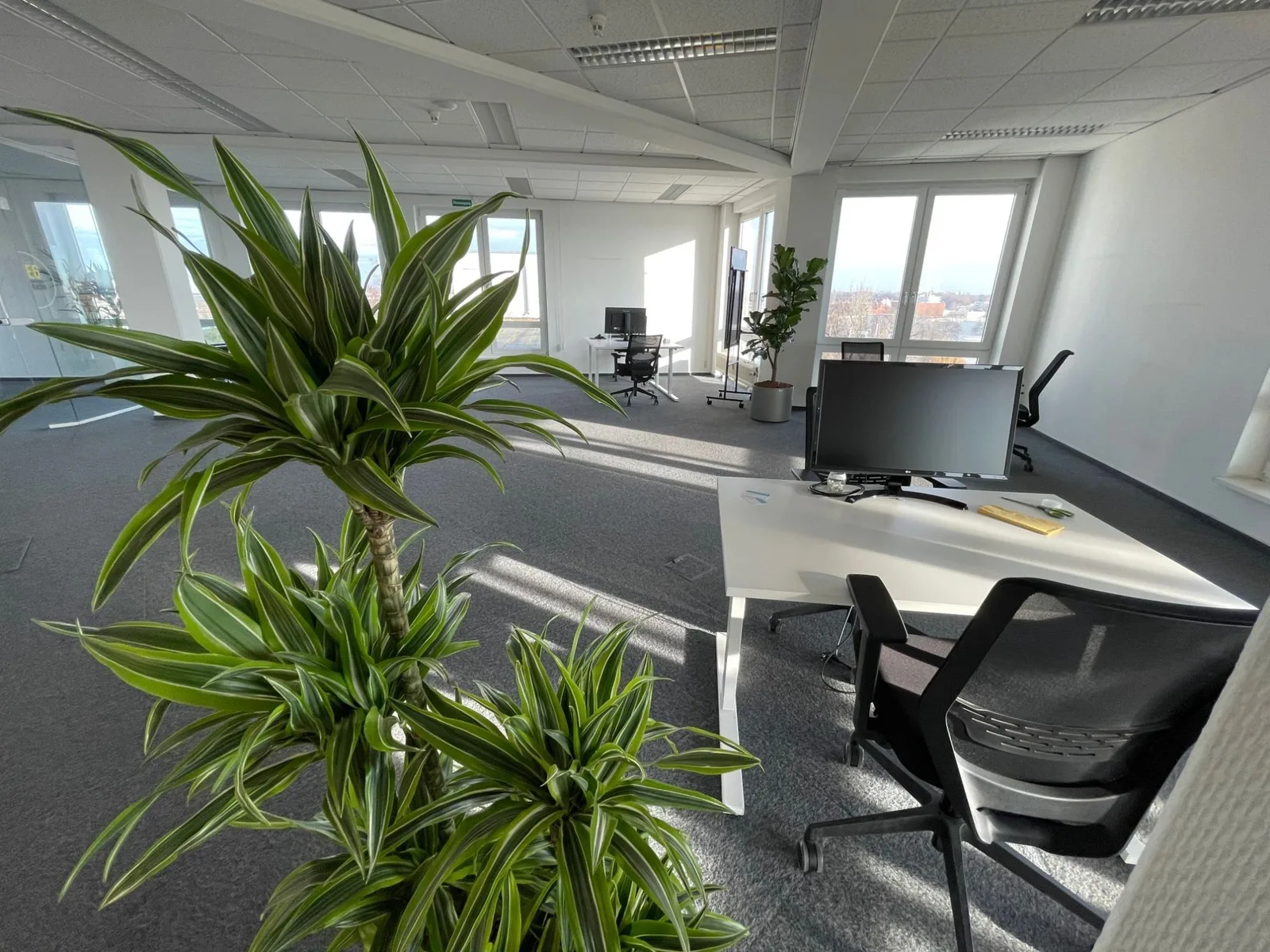 Terrace Offices 23, Großraumbüro, Berlin