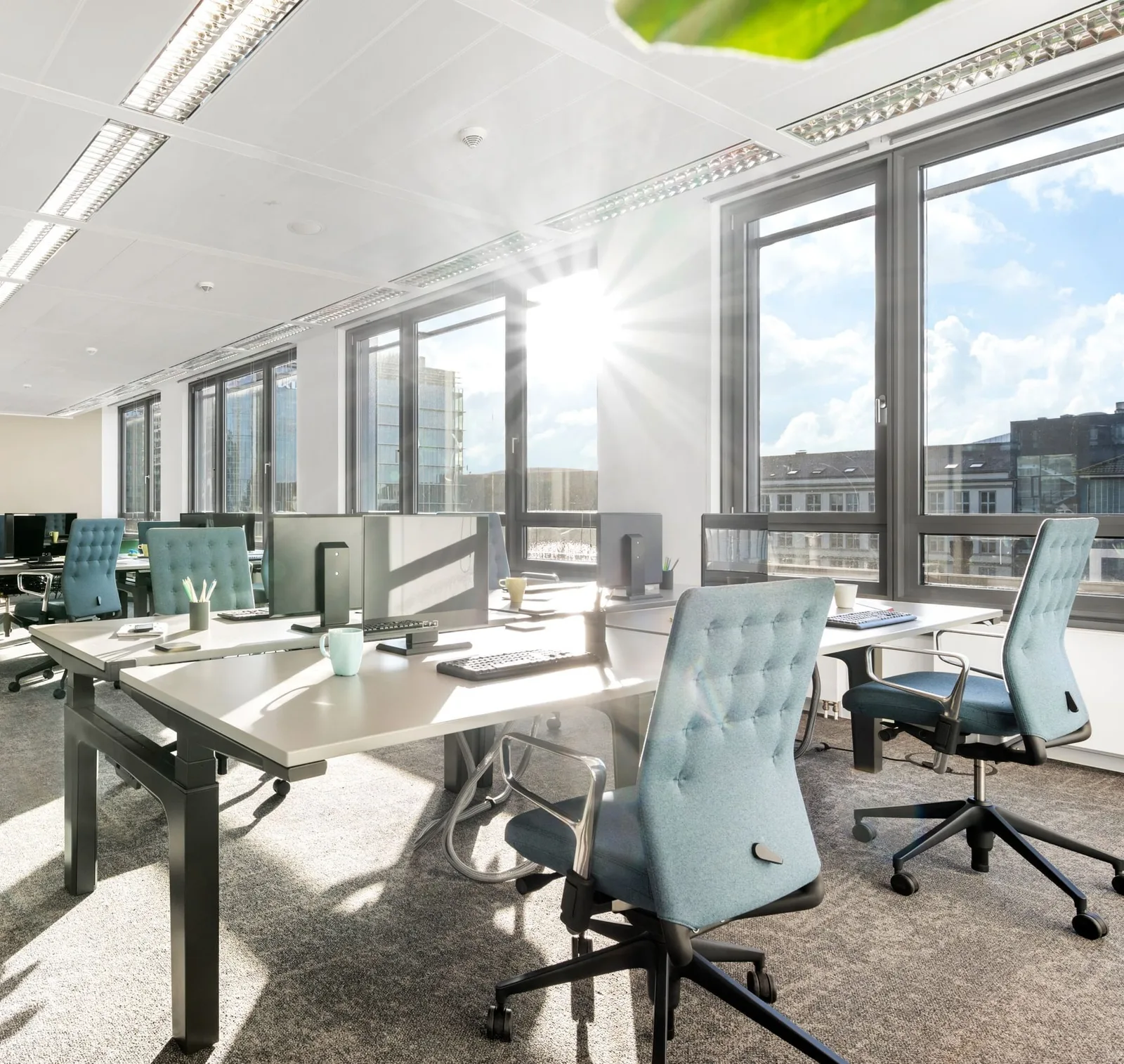 TH50 Coworking, Großraumbüro, Frankfurt am Main