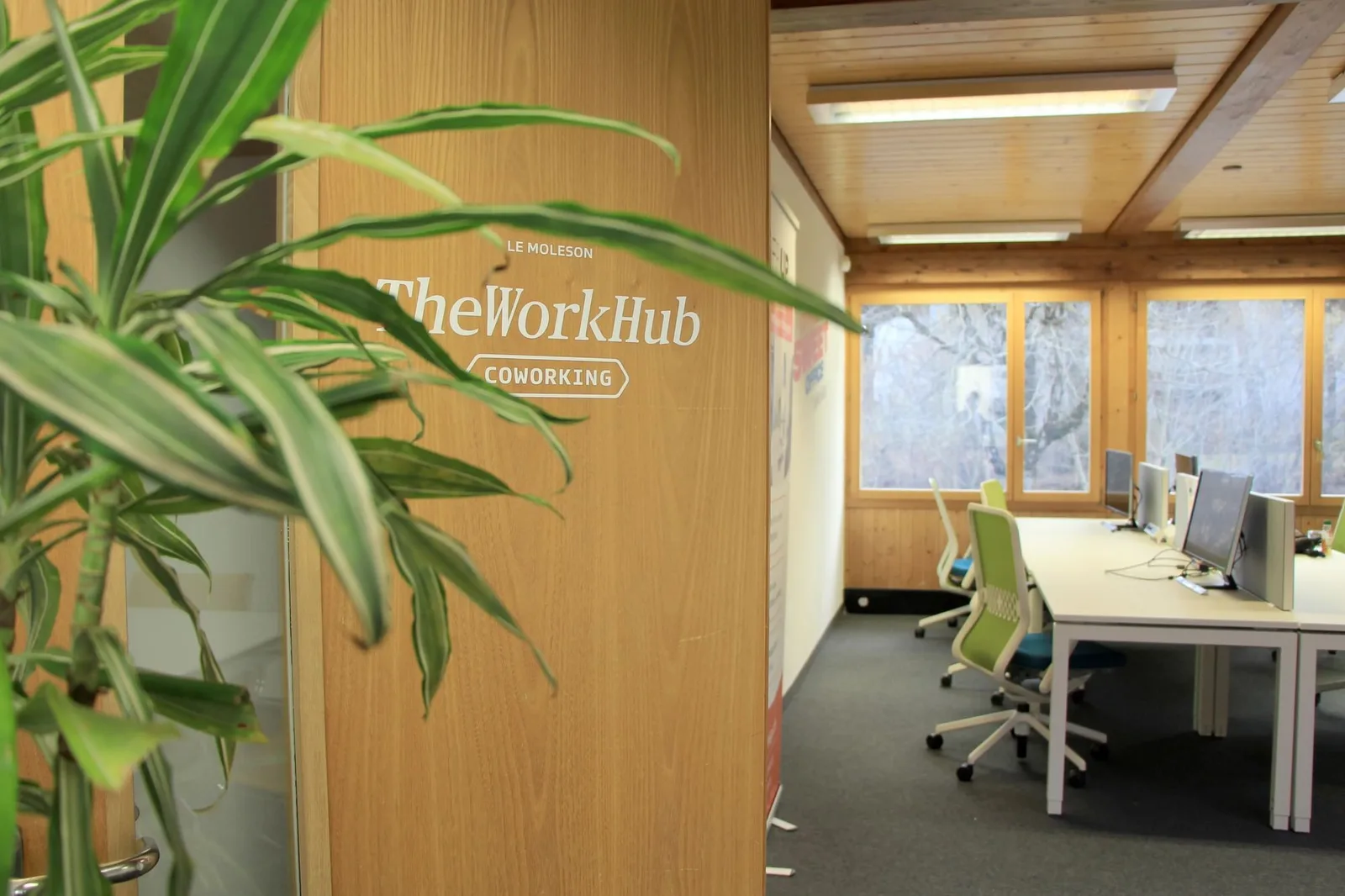 TheWorkHub, Coworking space, Vevey