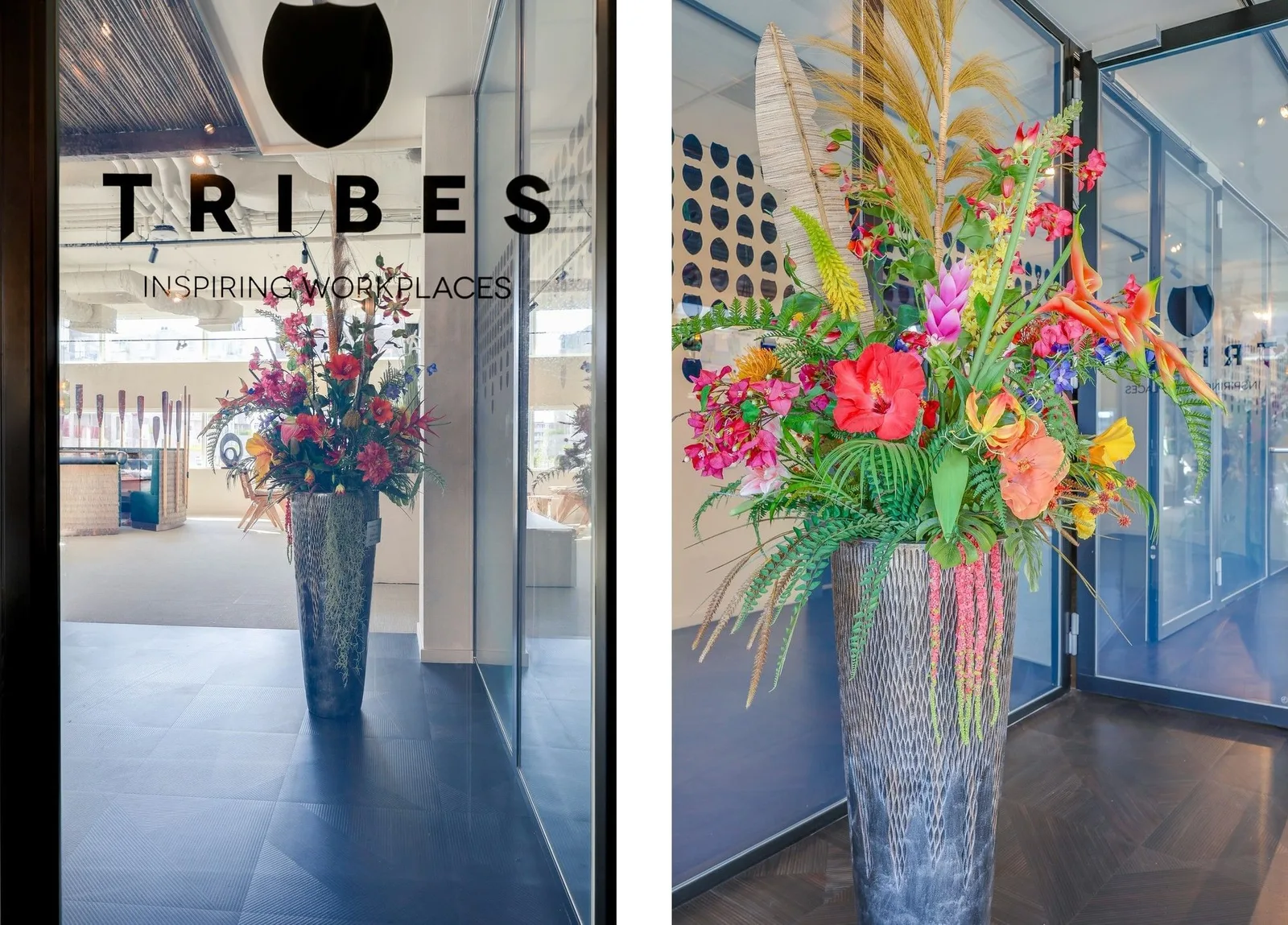 Tribes Amsterdam South Axis FOZ, Receptie, Amsterdam