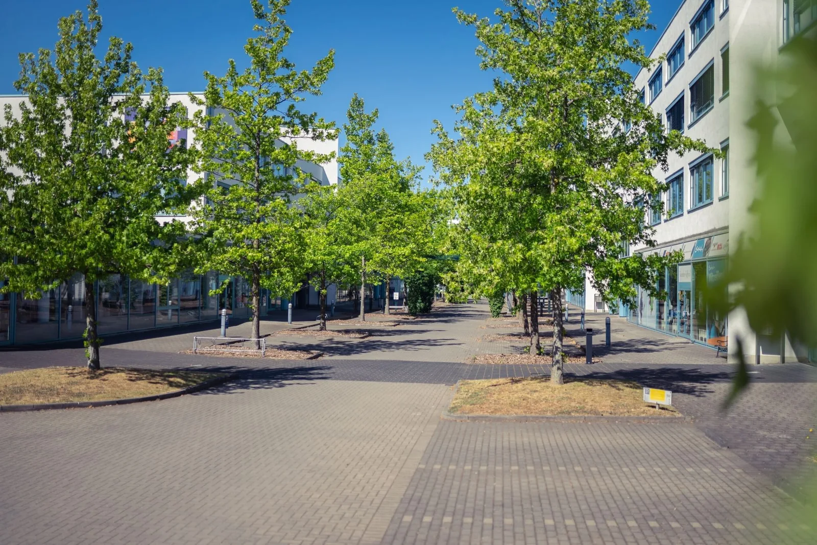 Trio Office Campus Heerdt, Terrace and outdoor space, Düsseldorf