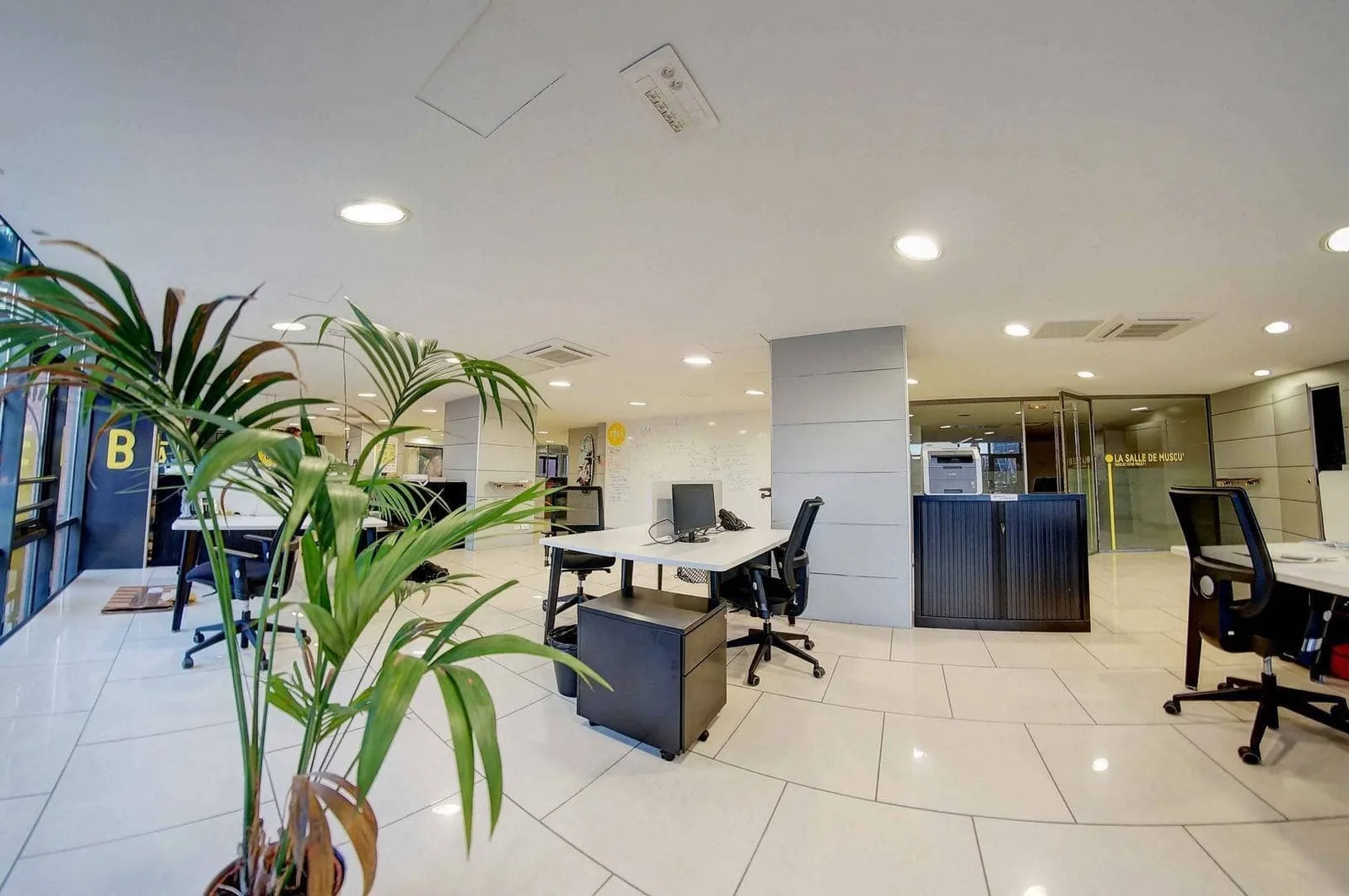 Le Tubà, Open-plan office, Lyon 6e