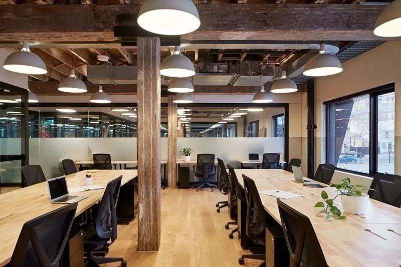 WeWork 100 Harris St, Open-plan office, Pyrmont, NSW