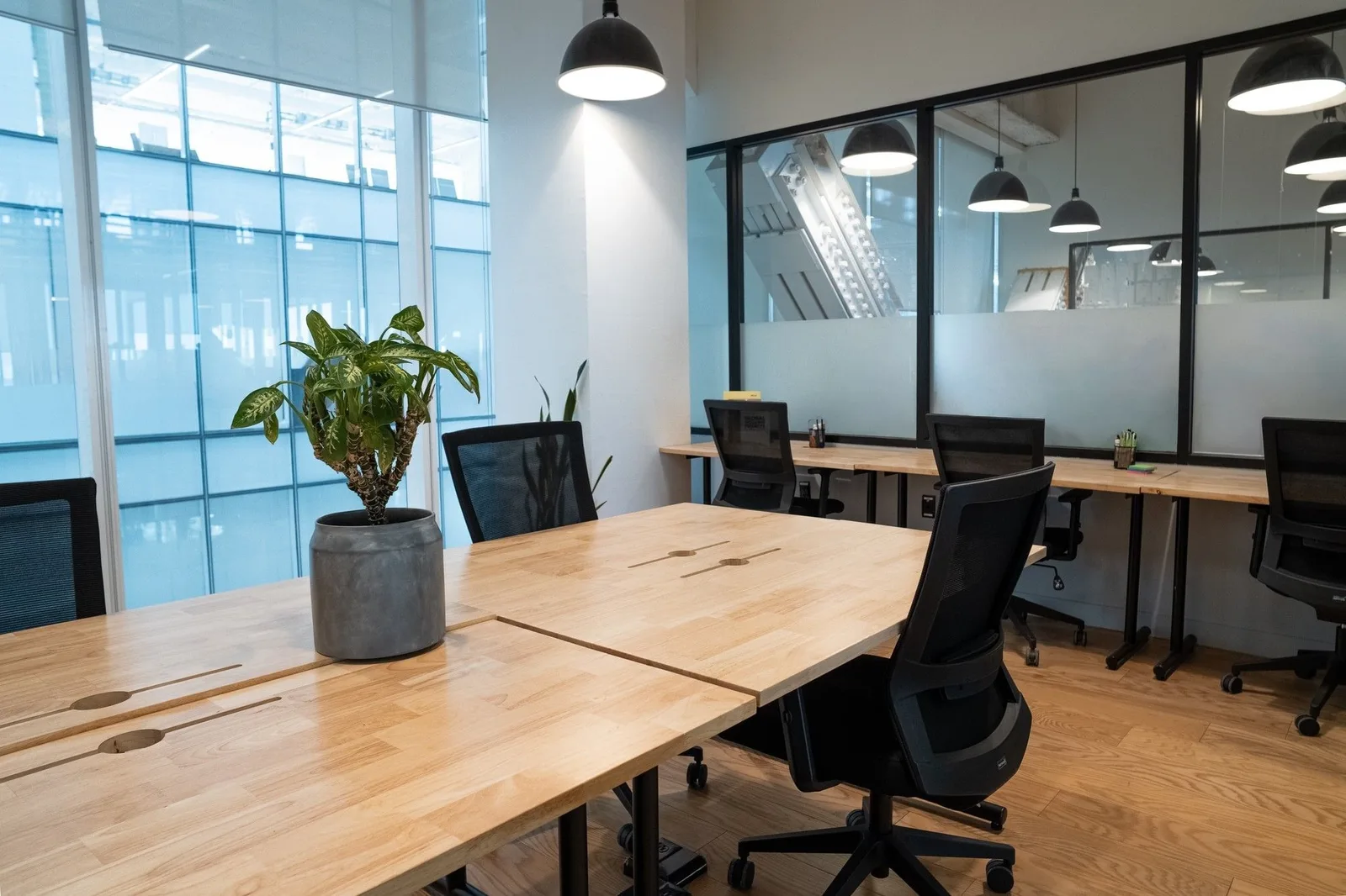 WeWork Torre TOP, Private office, 6 desks, Monterrey