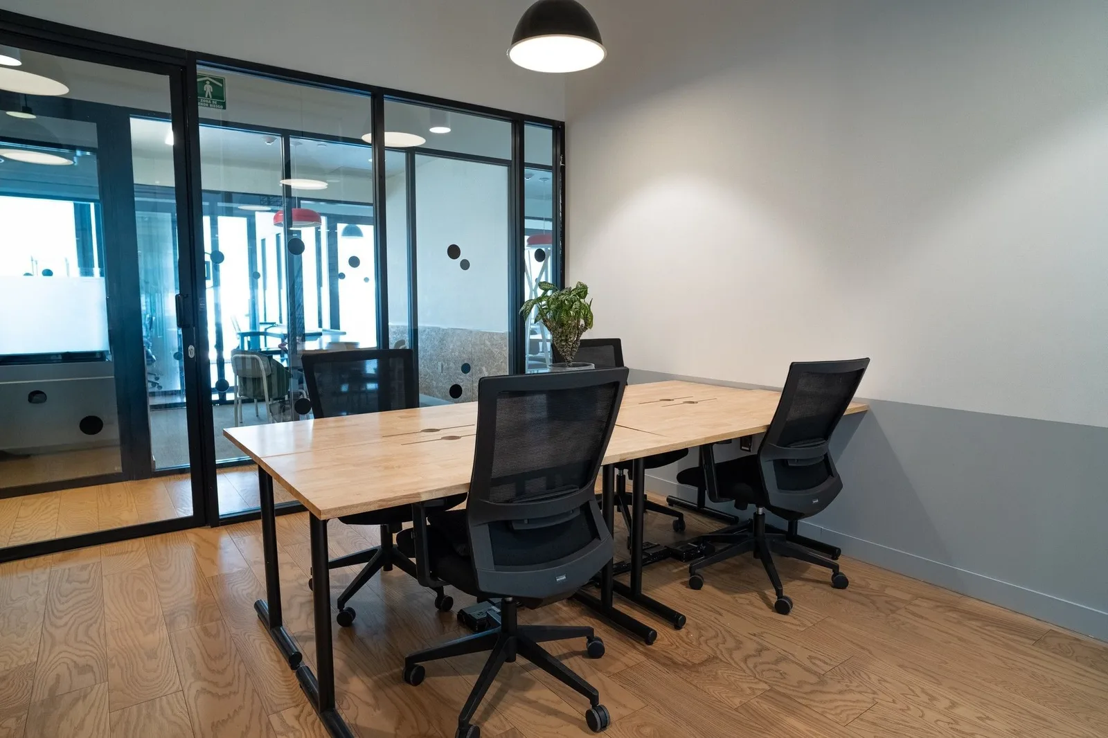 WeWork Torre TOP, Private office, 4 desks, Monterrey