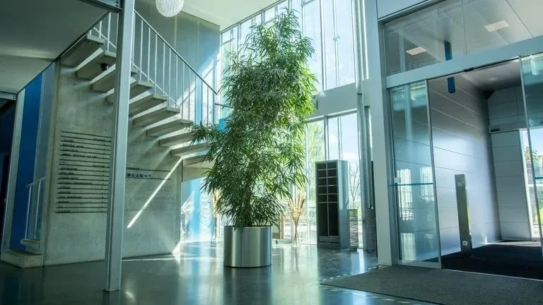 WorkFwd Coworking in Widnau, Réception, Widnau