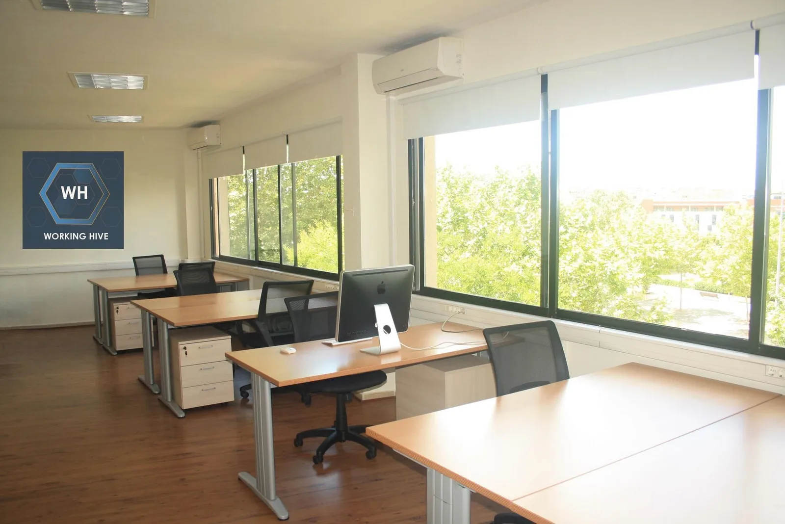 Working Hive, Espacio diáfano, Alcobendas