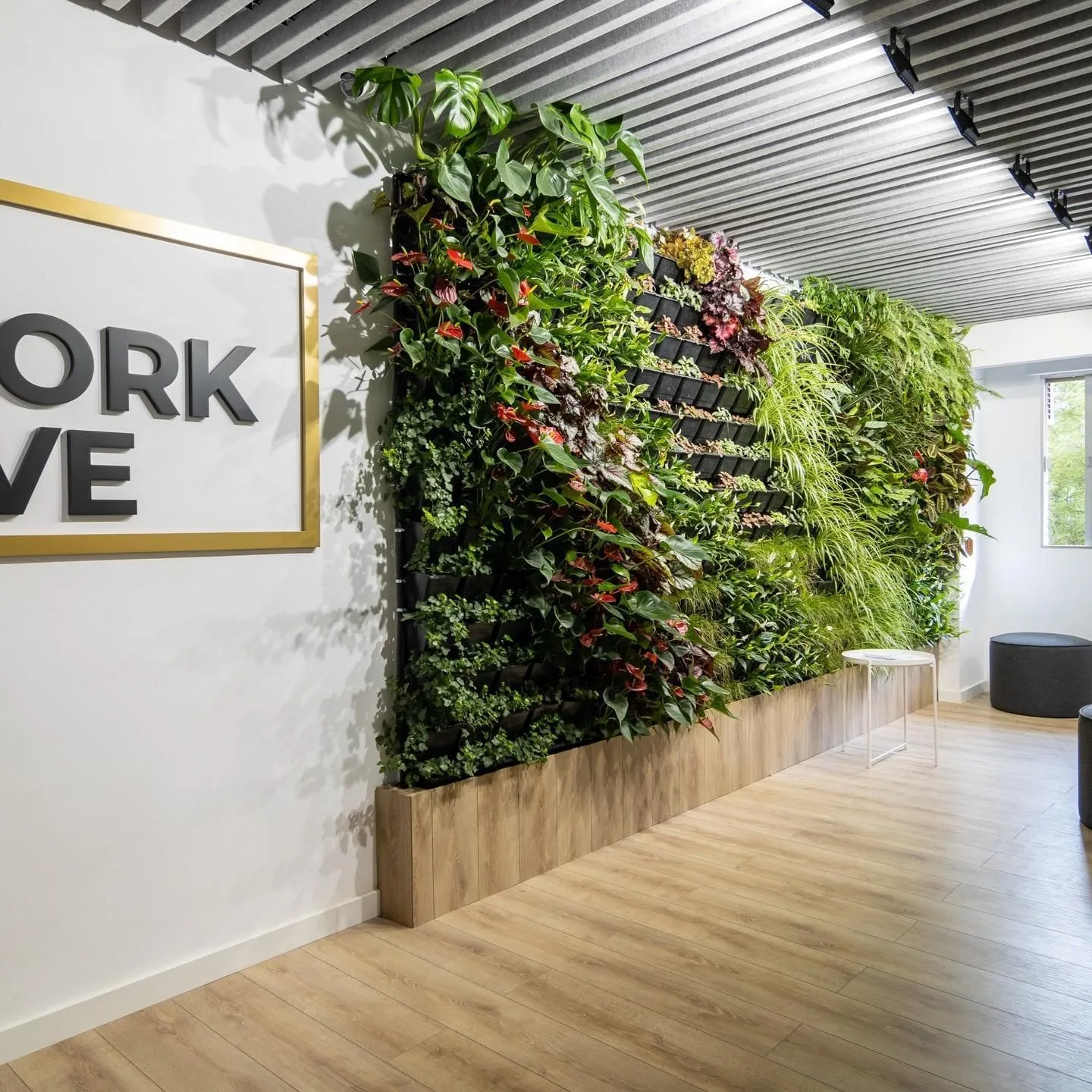 Worklive, Recepción, Badajoz