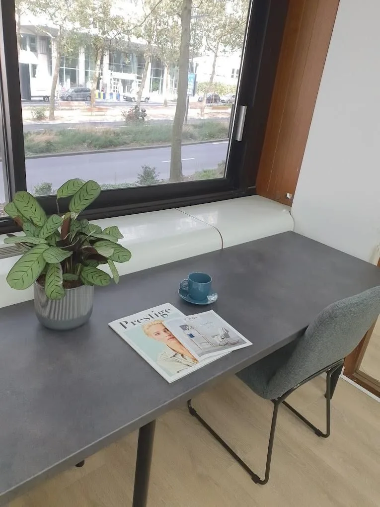 YELOMEX, Private office, 1 desk, Brussels